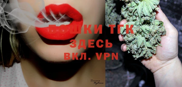 гашик Белокуриха