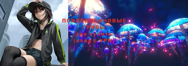 гашик Белокуриха