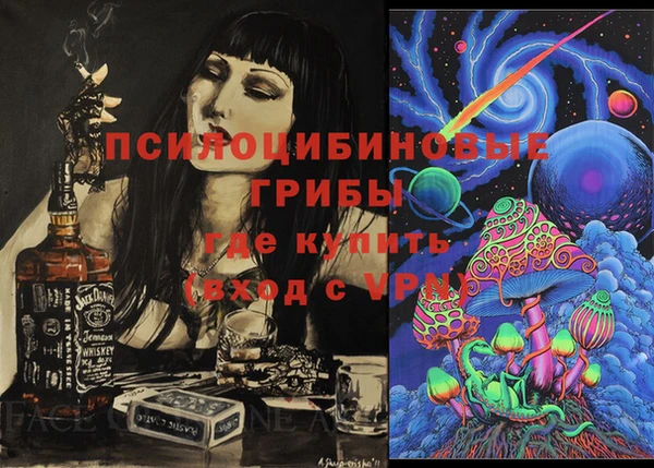 гашик Белокуриха