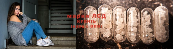 сатива Белоозёрский