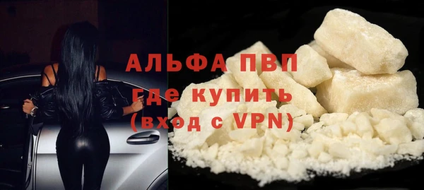 сатива Белоозёрский