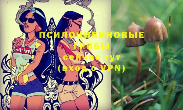 сатива Белоозёрский