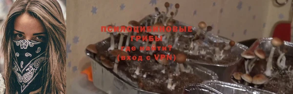 сатива Белоозёрский