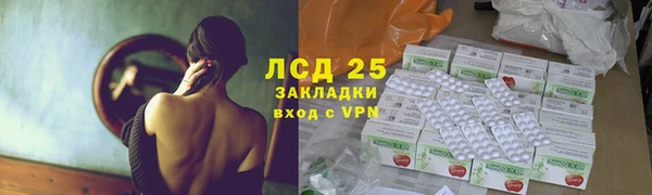 гашик Белокуриха