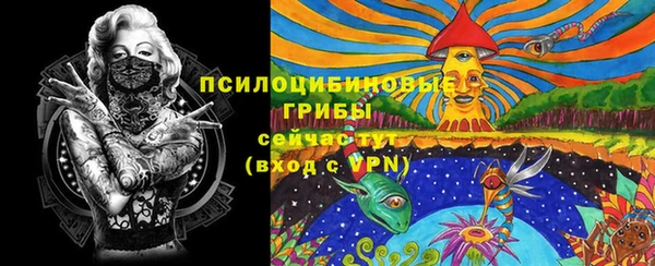 сатива Белоозёрский