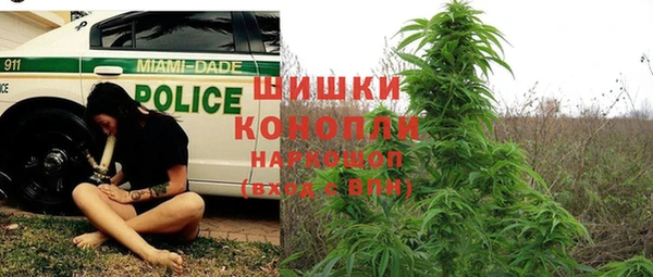 гашик Белокуриха