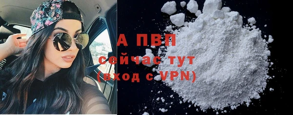 сатива Белоозёрский