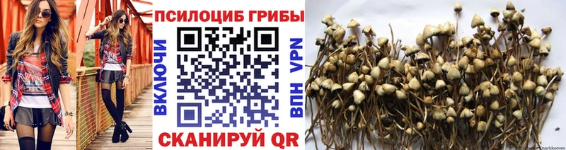 Псилоцибиновые грибы MAGIC MUSHROOMS  продажа наркотиков  Кстово 