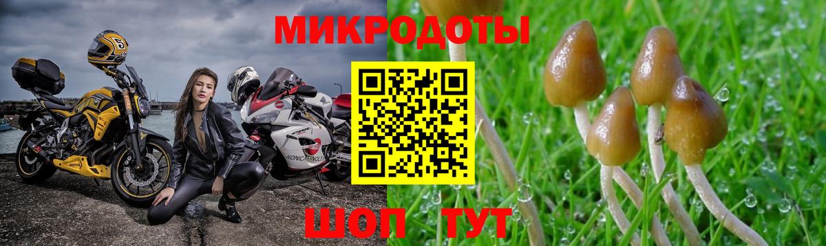 Псилоцибиновые грибы мухоморы  дарнет шоп  Кстово  Вход с VPN 